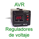 6 SAIS y AVR