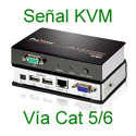 31 EXTENSORES KVM