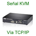 31 EXTENSORES KVM